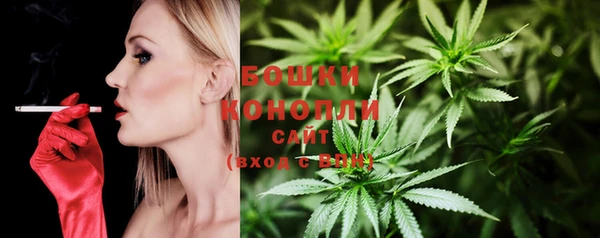 mix Богородицк